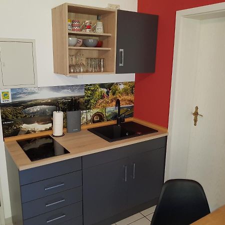 Zimmerappartement "Rose" - Ferienwohnungen Wagner & Gaul Daleiden Extérieur photo